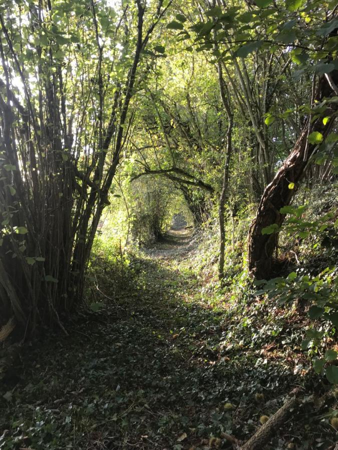 Les Ombrieres Panzió Porcheresse Kültér fotó